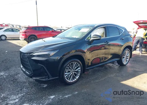 2025 Lexus Nx 350 Luxury из США, поврежденный, VIN 2T2HGCEZ8SC069997